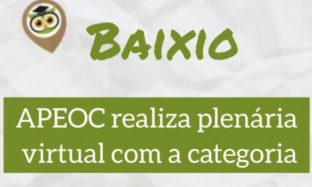 BAIXIO: APEOC REALIZA PLENÁRIA VIRTUAL COM A CATEGORIA